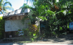 1734716 pic001