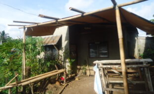 1745199 pic001