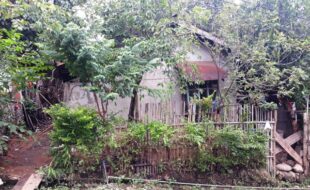 1746861 pic001