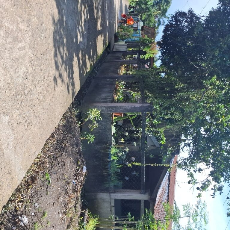 1753514 pic002 rotated