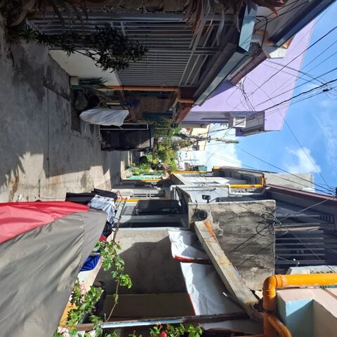 1753632 pic002 rotated