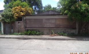 1765749 pic001