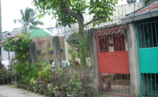 1765795 pic001