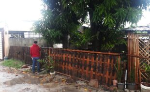 Foreclosed Properties Philippines Database 5 1770883 pic001