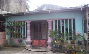 1772691 pic001