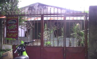 1772803 pic001