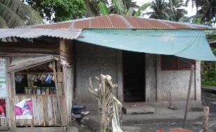 1774059 pic001