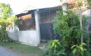 1777017 pic001