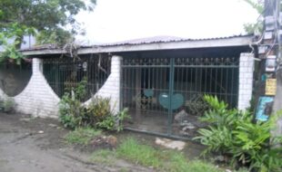 1777744 pic001