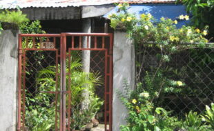 1789915 pic001