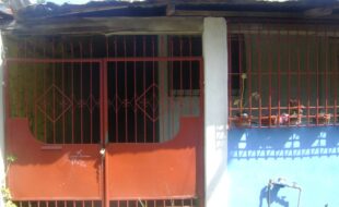 1799231 pic001