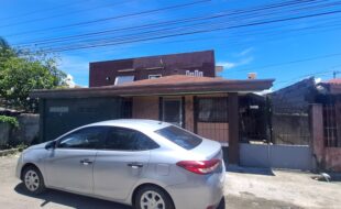 1800768 pic001