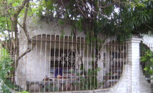 DIGITAL CAMERA
