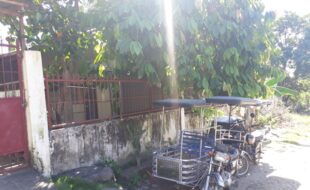 1809673 pic001