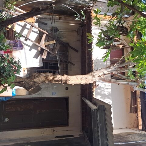 1815595 pic001 rotated