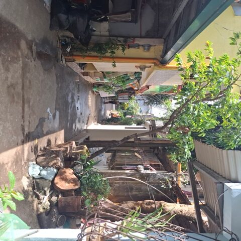 1815595 pic002 rotated