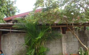 Foreclosed Properties Philippines Database 8 1817142 pic001