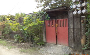 1818474 pic001