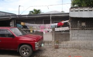 1819538 pic001