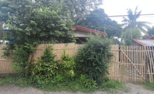 1839636 pic001