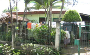 1841583 pic001