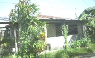 1842529 pic001