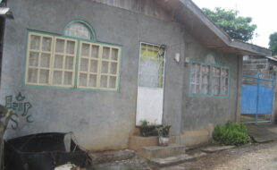 1847477 pic001