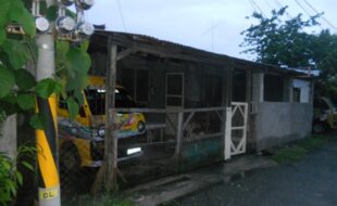 1848713 pic001