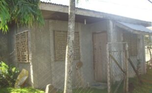 1848817 pic001