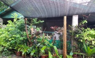 Foreclosed Properties Philippines Database 26 1858971 pic001