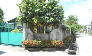 1867615 pic001