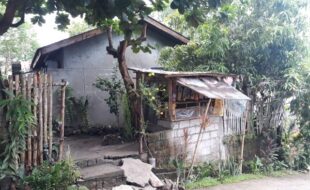 Foreclosed Properties Philippines Database 28 1868148 pic001