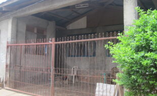 1868678 pic001