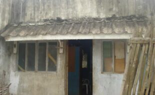 1897197 pic001
