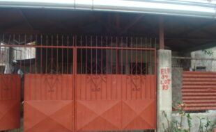 1897212 pic001