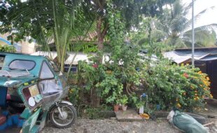 Foreclosed Properties Philippines Database 16 1917945 pic001