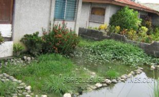 1919223 pic001