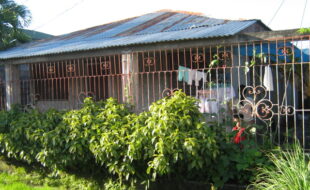 1922503 pic001