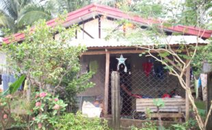 Foreclosed Properties Philippines Database 1 1924519 pic001
