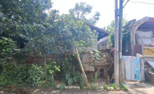 Foreclosed Properties Philippines Database 3 1925381 pic001