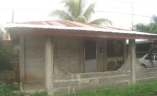 1930036 pic001