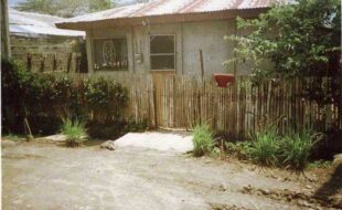 1930068 pic001