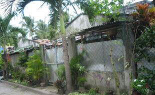 1938053 pic001