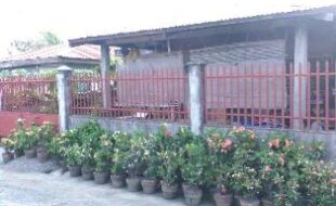 1938949 pic001