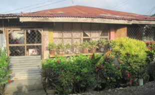 1938956 pic001