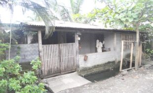 1938963 pic001