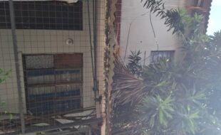 1941713 pic001