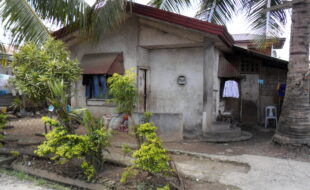 1947574 pic001