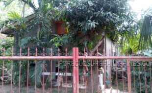 Foreclosed Properties Philippines Database 13 011 f8 05002d04e03a86804e01040c30258   0239237f21a28fe1fb29111e026a91b82d711902de11a015e91a81eef1b024a61b829e11c02db61c832a41d0353b1d8360e1d033231d03416