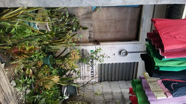 1954123 pic001 rotated